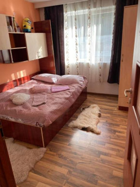 Apartament 2 camere, Brezoi